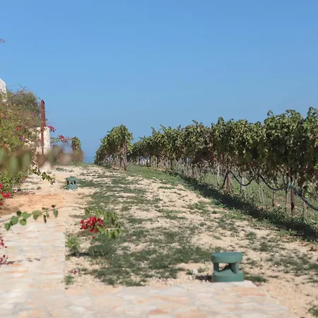 Td Tenuta Donna Madia Sea View Pool Over Vineyard Villa *