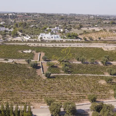 Td Tenuta Donna Madia Sea View Pool Over Vineyard Villa Monopoli