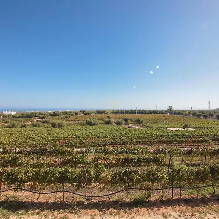 Td Tenuta Donna Madia Sea View Pool Over Vineyard